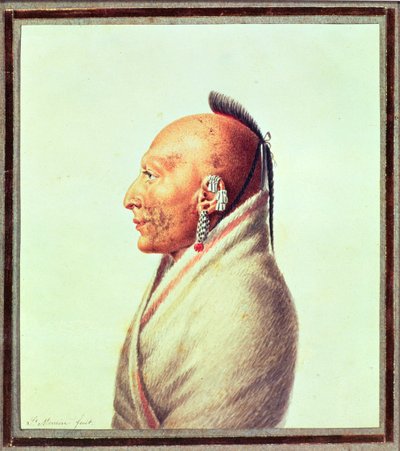 Indian Chief of the Little Osages, c.1807 by Charles Balthazar Julien Févret de Saint Mémin